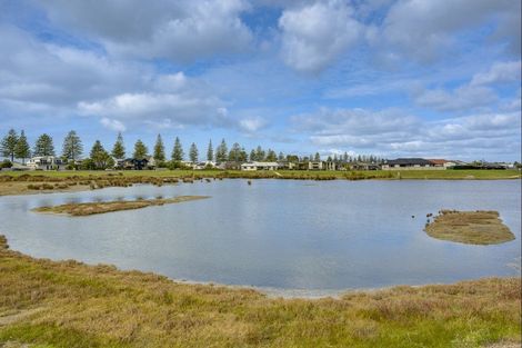 Photo of property in 19 Aparima Place, Awatoto, Napier, 4110