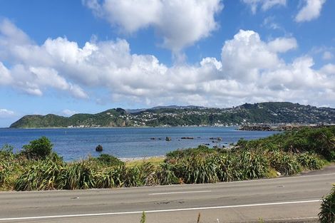 Photo of property in 50 Moa Point Road, Moa Point, Wellington, 6022