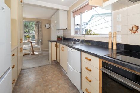 Photo of property in 172 Harland Street, Tinwald, Ashburton, 7700