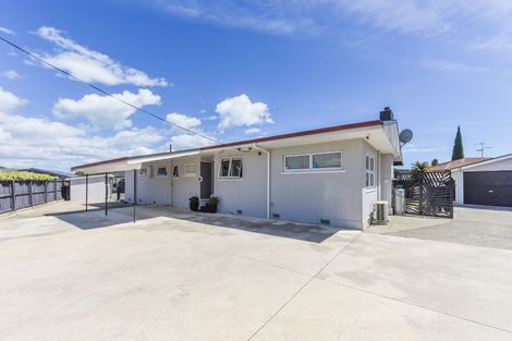 Photo of property in 45 Roto Street, Tahunanui, Nelson, 7011