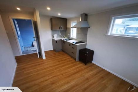 Photo of property in 109 Gardner Avenue, New Lynn, Auckland, 0600