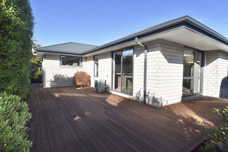 Photo of property in 28a Plunket Street, Spreydon, Christchurch, 8024