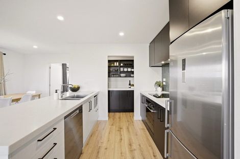 Photo of property in 101 Edward Street, Lincoln, 7608