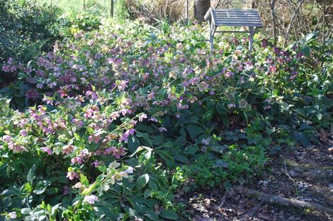 Photo of property in 2 Pareora Ford Road, Taiko, Timaru, 7974