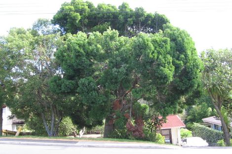 Photo of property in 107 Eskdale Road, Birkdale, Auckland, 0626