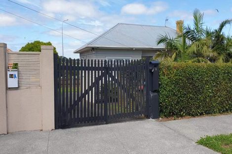 Photo of property in 18 Jasper Avenue, Mount Roskill, Auckland, 1041