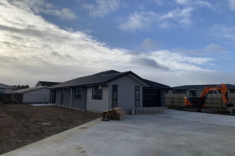 Photo of property in 98 Hinemoa Street, Levin, 5510