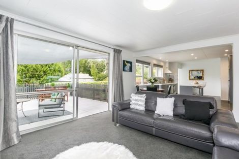 Photo of property in 20 Tokomaru Drive, Havelock North, 4130
