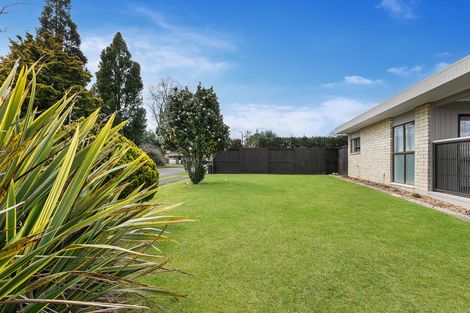 Photo of property in 88a Moorhouse Street, Morrinsville, 3300