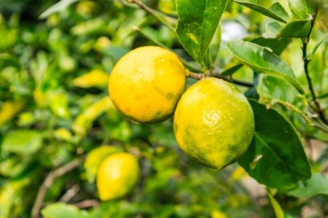 Photo of property in 12 Cove Road, Waipu, 0510