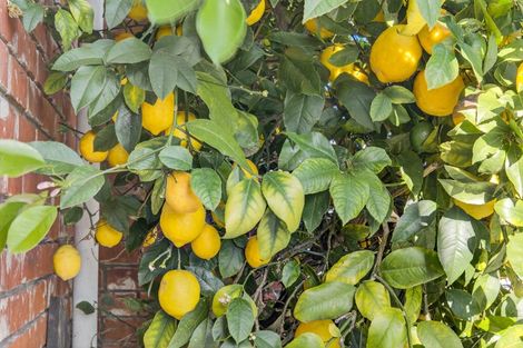 Photo of property in 300 Kensington Avenue, Rangiora, 7400