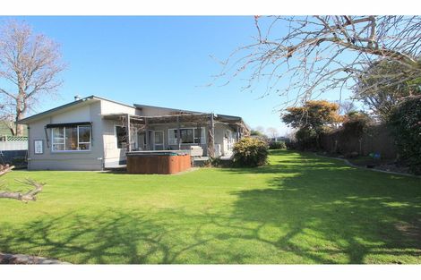 Photo of property in 58 Leefield Street, Blenheim, 7201