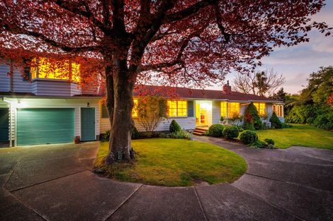 Photo of property in 85 Te Awe Awe Street, Hokowhitu, Palmerston North, 4410