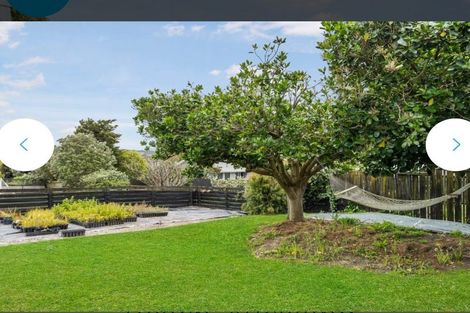 Photo of property in 337 Mahurangi East Road, Snells Beach, 0920