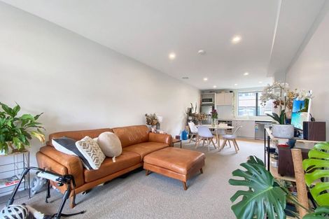 Photo of property in Aniva Terrace, 14 Ferguson Street, Newtown, Wellington, 6021