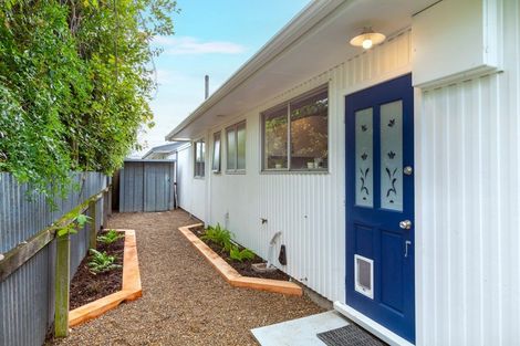 Photo of property in 1029b Konini Street, Mahora, Hastings, 4120