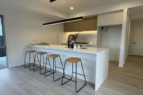 Photo of property in 15 Mccormick Lane, Rolleston, 7615