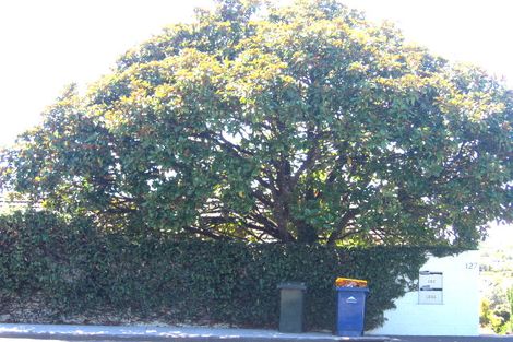 Photo of property in 127 Forrest Hill Road, Forrest Hill, Auckland, 0620