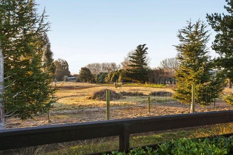Photo of property in 49 Quinn Crescent, Woodend, 7610