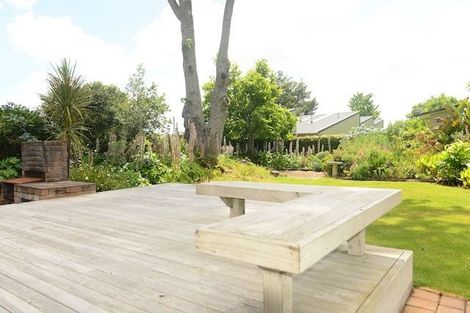 Photo of property in 46 Wymer Terrace, Chartwell, Hamilton, 3210