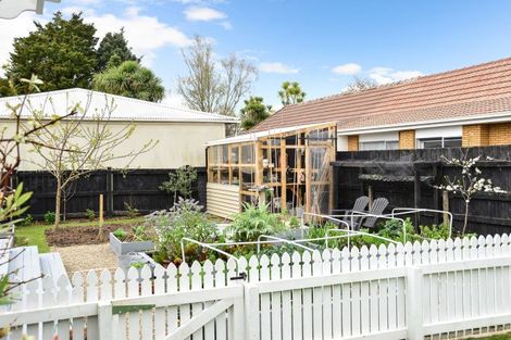 Photo of property in 46 Naylor Street, Hamilton East, Hamilton, 3216