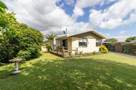 Photo of property in 4 Sarjant Place, Paeroa, 3600