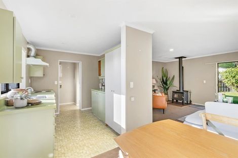 Photo of property in 60 Mcdougall Street, Wanaka, 9305