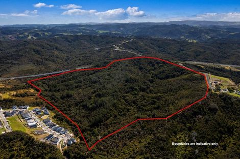 Photo of property in 160-200 Hillcrest Road, Hatfields Beach, Orewa, 0931