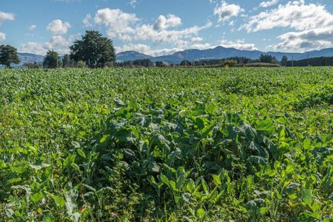 Photo of property in 375 Stonyflat Road, Loburn, Rangiora, 7472