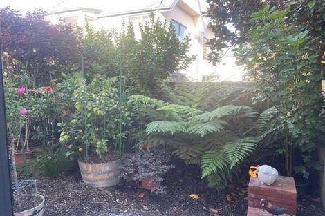 Photo of property in 5 Verlamio Lane, Edgeware, Christchurch, 8013