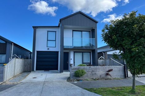Photo of property in 49 Clayden Shuttleworth Street, Papakura, 2110
