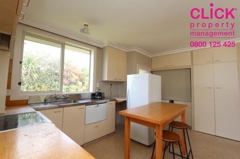 Photo of property in 59 Mailer Street, Mornington, Dunedin, 9011
