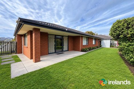 Photo of property in 1/107 Lincoln Road, Addington, Christchurch, 8024