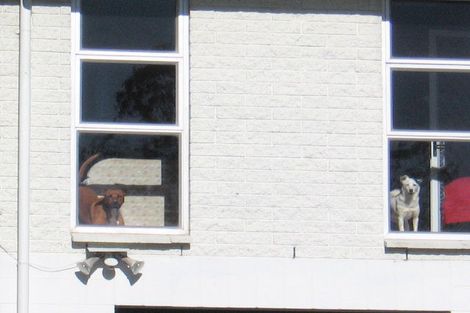 Photo of property in 64 Glen Lynne Avenue, Queenwood, Hamilton, 3210