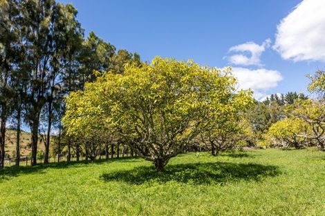 Photo of property in 49 Kaimarama Road, Kaimarama, Whitianga, 3591