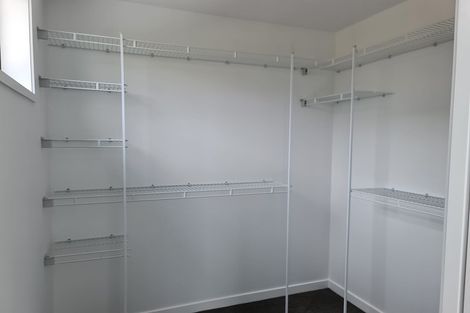 Photo of property in 11 Hinaki Street, Poike, Tauranga, 3112