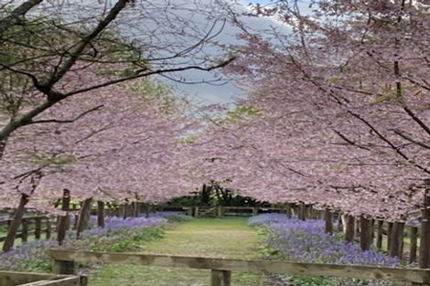 Photo of property in 125 Matangi Road, Matangi, Hamilton, 3284