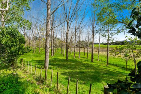 Photo of property in 50 Oneriri Road, Kaiwaka, 0573