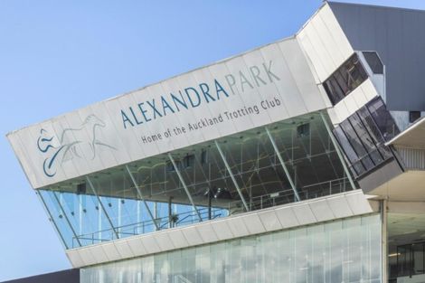 Photo of property in 13 Queen Mary Avenue, Epsom, Auckland, 1023