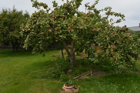 Photo of property in 76 Cambridge Street, Hampstead, Ashburton, 7700