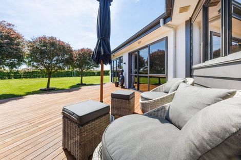 Photo of property in 93 Mount Taylor Drive, Feilding, 4775