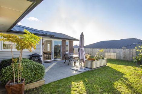 Photo of property in 24 Mervyn Place, Ohauiti, Tauranga, 3112