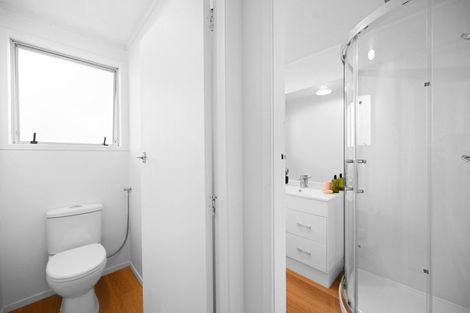 Photo of property in 55b Fifth Avenue, Enderley, Hamilton, 3214