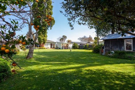 Photo of property in 33 Elizabeth Street, Matamata, 3400