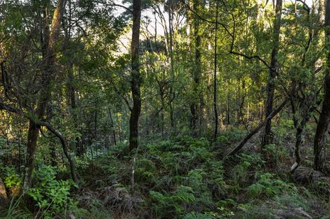 Photo of property in 7 Trig Station Rise, Paremoremo, Auckland, 0632