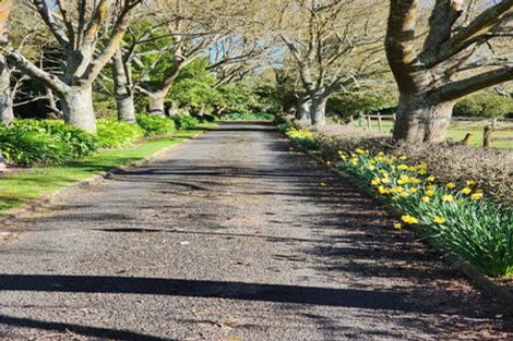 Photo of property in 83 Windmill Road, Tamahere, Hamilton, 3283