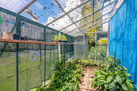 Photo of property in 20 Carlisle Street, Levin, 5510