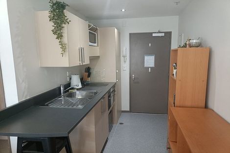 Photo of property in Dual Apartments, 108/142 Vivian Street, Te Aro, Wellington, 6011