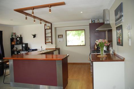 Photo of property in 117 Waenga Drive, Cromwell, 9310