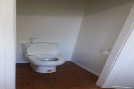 Photo of property in 16 Panama Road, Mount Wellington, Auckland, 1062